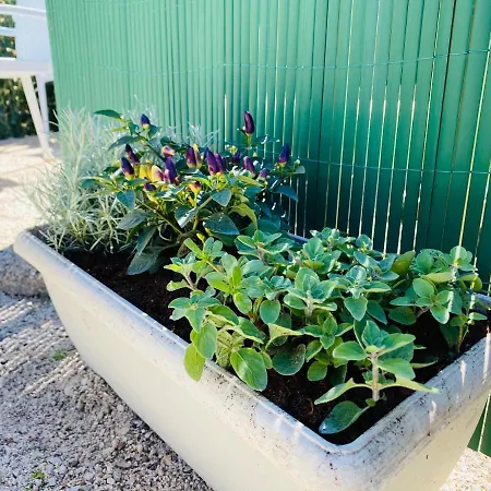 Casa vacanze The Dream *